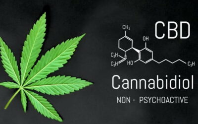 Cancer et CBD : est-ce compatible ?