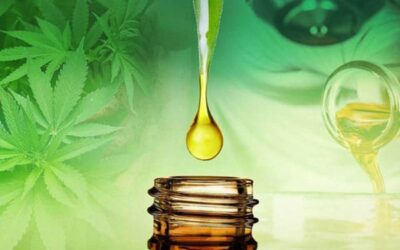Quel est l’intérêt de prendre l’huile de CBD ?