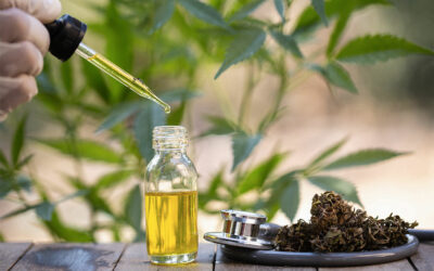 Utiliser le CBD contre l’insomnie : est-ce efficace ?