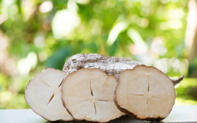 Les bienfaits du Pueraria mirifica