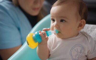 Les mouche bébés sont ils dangereux ?
